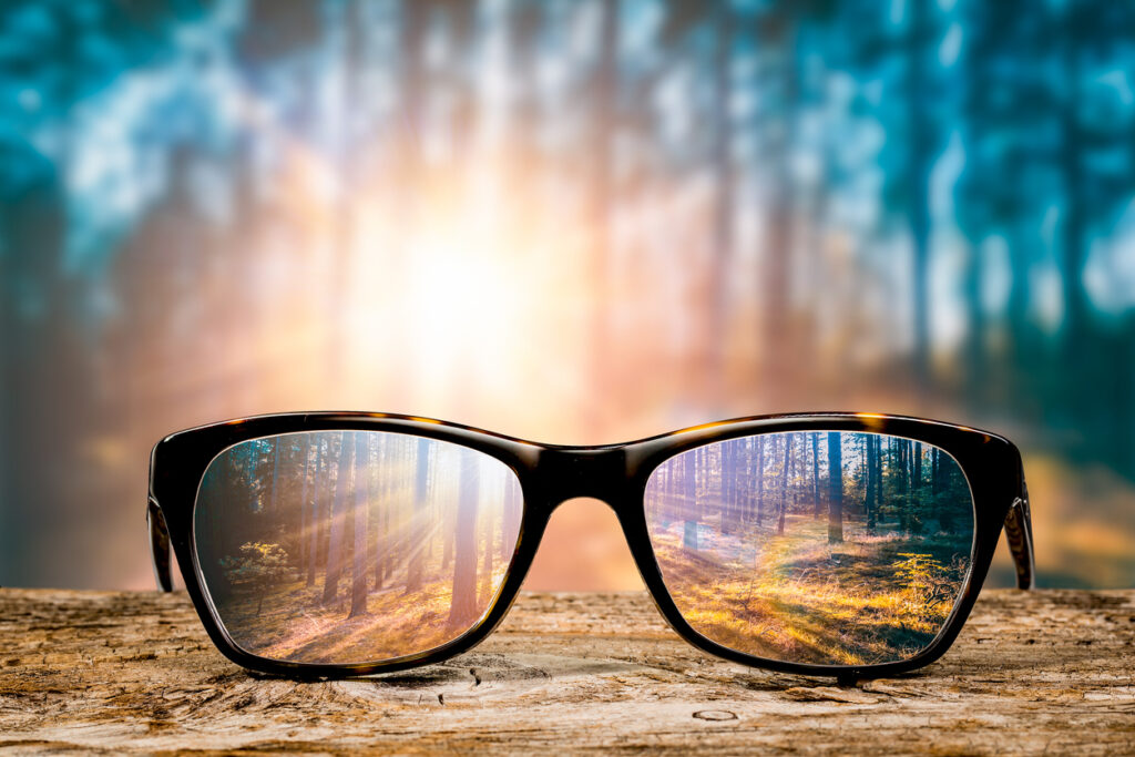 The Importance of Transparency
